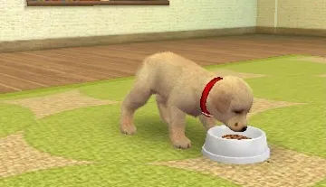 Nintendogs   Cats - Toy Poodle & New Friends (Cn) screen shot game playing